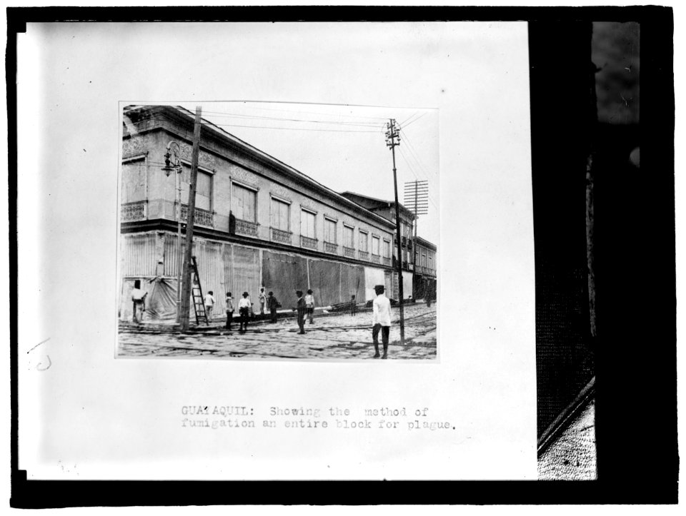 ECUADOR. SCENES IN QUAYAQUIL, ECUADOR LCCN2016864063