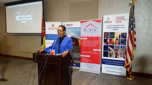 Economic Growth in Mozambique (41455822074)