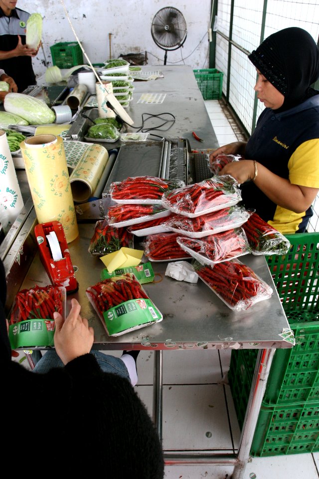 Economic Growth Program (4320715959)