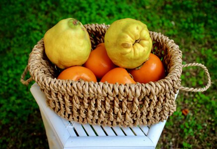 Foods nature yellow