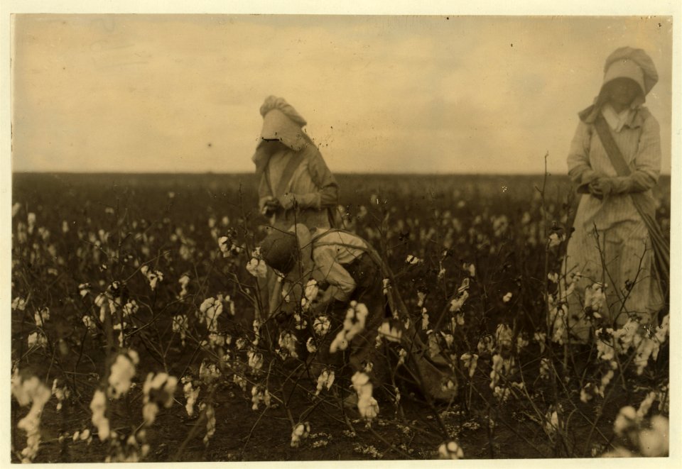 Eddie Marek a six year old cotton picker who picks fifty pounds a day. His sister thirteen years old picks one hundred pounds. Father and mother and some negroes also pick. A frugal Bohemian LOC nclc.00205