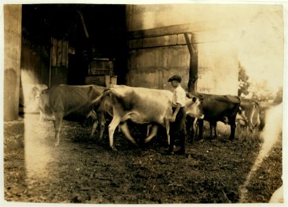 Edgar Kitchen 13 yrs. old gets $3.25 a week working for the Bingham Bros. Dairy. Drives a dairy wagon from 7 A.M. to noon. Works on farm in afternoon (10 hours a day) seven days a week-half LOC nclc.00492