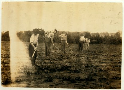 Edgar Kitchen 13 yrs. old gets $3.25 a week working for the Bingham Bros. Dairy. Drives dairy wagon from 7 A.M. to noon. Works on farm in afternoon (10 hours a day) seven days a week-half LOC nclc.00494