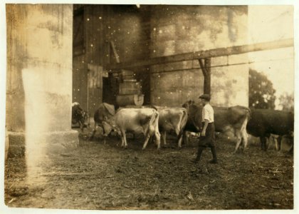 Edgar Kitchen 13 yrs. old gets $3.25 a week working for the Bingham Bros. Dairy. Drives a dairy wagon from 7 A.M. to noon. Works on farm in afternoon (10 hours a day) seven days a week-half LOC nclc.00491
