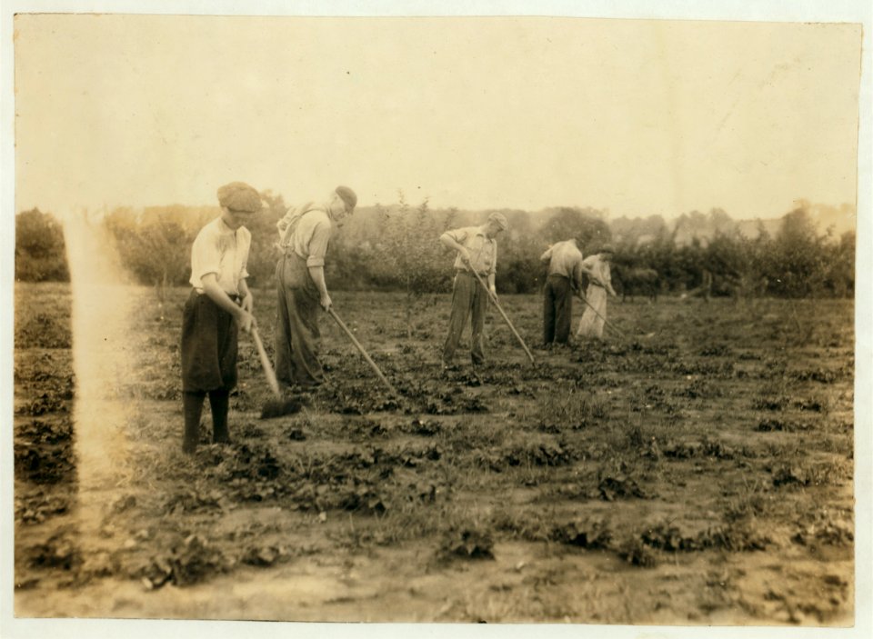 Edgar Kitchen 13 yrs. old gets $3.25 a week working for the Bingham Bros. Dairy. Drives dairy wagon from 7 A.M. to noon. Works on farm in afternoon (10 hours a day) seven days a week-half LOC nclc.00493