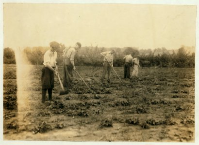 Edgar Kitchen 13 yrs. old gets $3.25 a week working for the Bingham Bros. Dairy. Drives dairy wagon from 7 A.M. to noon. Works on farm in afternoon (10 hours a day) seven days a week-half LOC nclc.00493