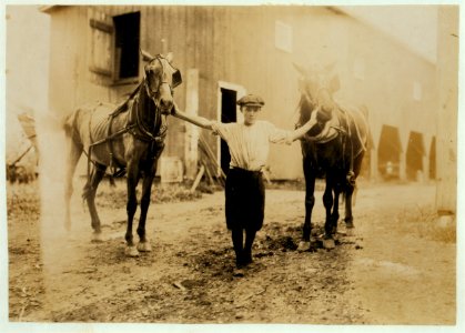 Edgar Kitchen 13 yrs. old gets $3.25 a week working for the Bingham Bros. Dairy. Drives dairy wagon from 7 A.M. to noon. Works on farm in afternoon (10 hours a day) seven days a week-half LOC nclc.00495