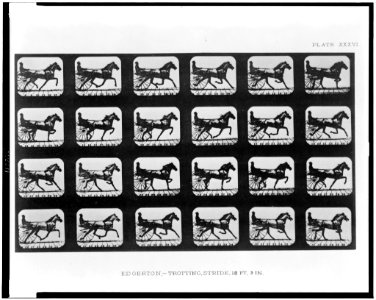 Edgerton, - trotting. Stride, 18ft. 3 in. LCCN96521327
