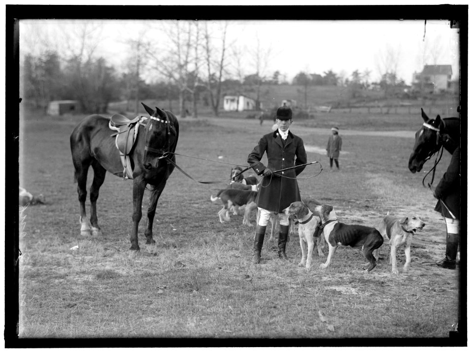 EDGEWOOD HUNT. J.O. EVANS; HOUND SHOW LCCN2016865989