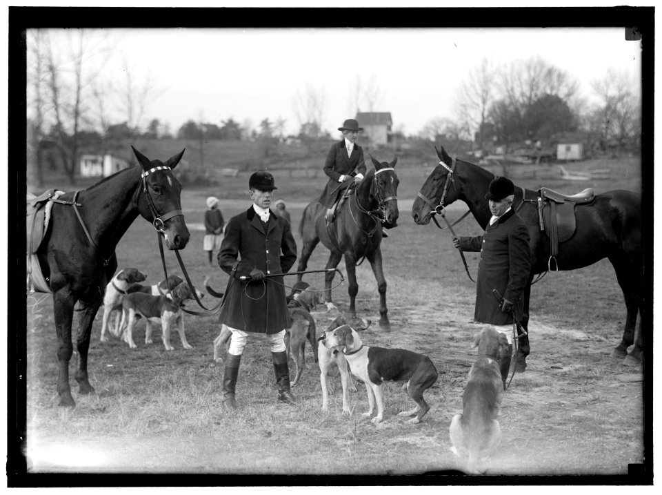 EDGEWOOD HUNT. J.O. EVANS; HOUND SHOW LCCN2016865988