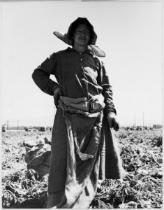 Edison, Kern County, California. Potato picker, she is 52-years-old, has 8 children. Born in Tenness . . . - NARA - 521814
