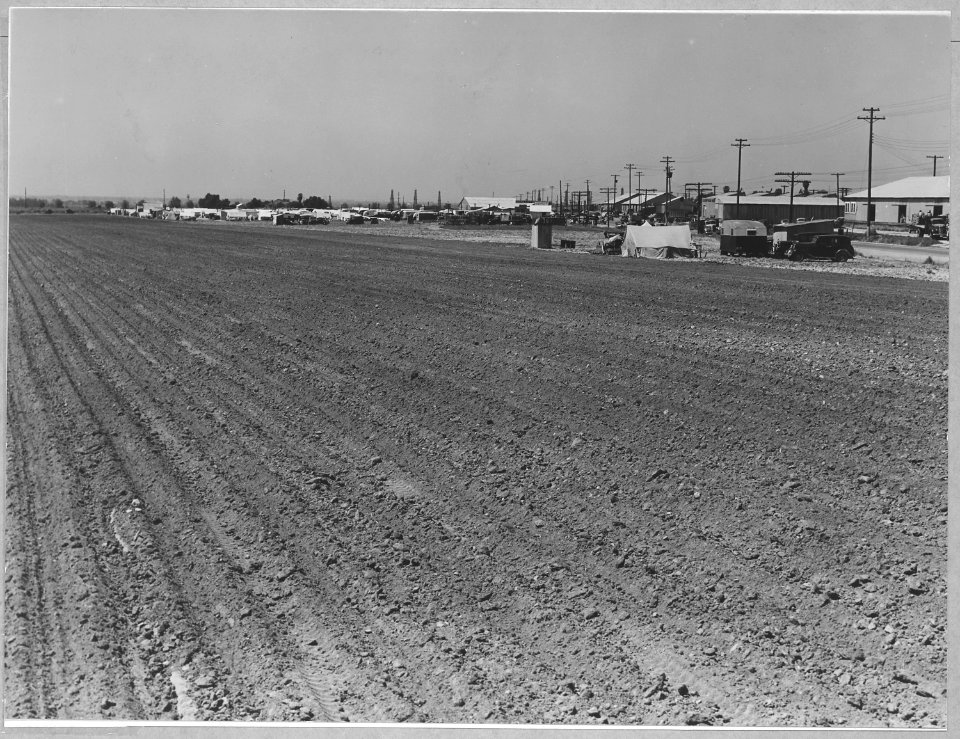 Edison, Kern County, California. The town of Edison, a potato town in a nearly developing large-scal . . . - NARA - 521781
