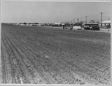 Edison, Kern County, California. The town of Edison, a potato town in a nearly developing large-scal . . . - NARA - 521781 photo