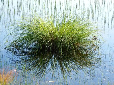 Heat water silence