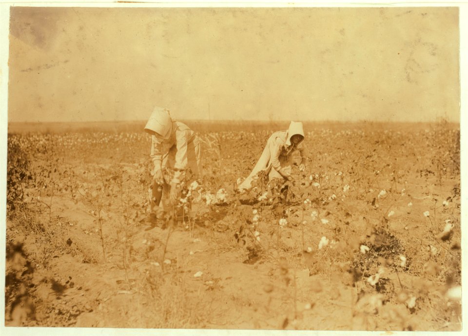 Edith, 11 years old and Blanche 13. Each picks about 100 pounds of cotton a day. Go to Beaver Bend School when through. Father, W.T. Rumage, Route 1, Lawton, Okla. LOC nclc.00594