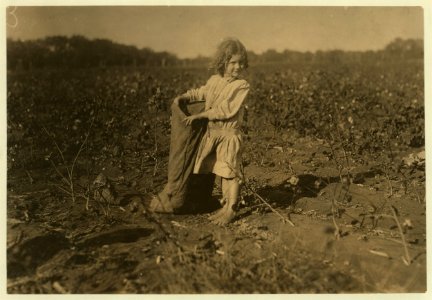 Edith, a five year old cotton picker on H.M. Lane's farm Bells, Tex. (near Denison). 'She's a good steady picker. Works all day long,' her aunt said. See also other photos taken here. LOC cph.3b24276