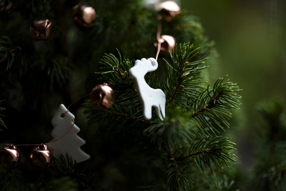 Ornaments holiday design