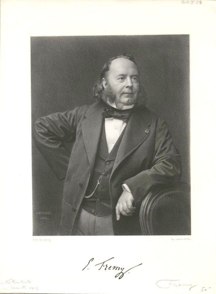 Edmond Frémy 1865