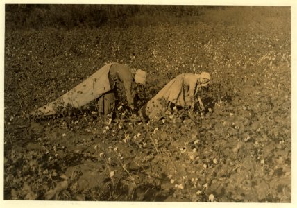 Edna Smilley, R.D. 1. Eighteen years old and sister seven years old pick seventy-five pounds of cotton a day. 'We'd ruther do anything than pick cotton,' Edna said. Schools open November LOC cph.3c15400