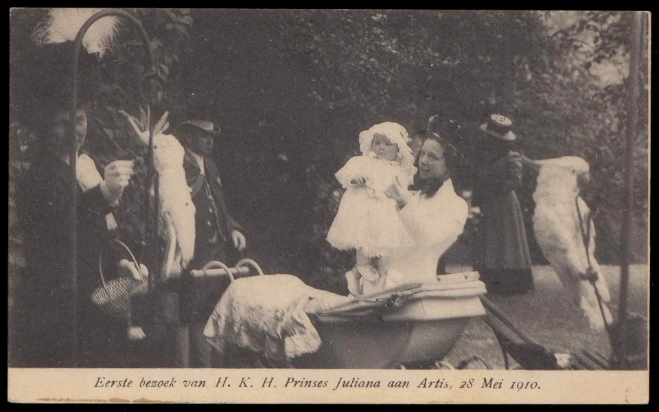 Eerste bezoek van H.K.H. Prinses Juliana aan Artis. Uitgave N.J. Boon, Amsterdam photo