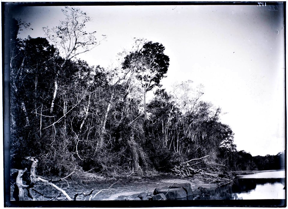 Een landschap in het stroomgebied van de Tapanahoni-rivier