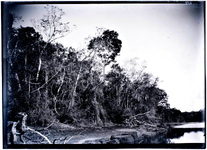 Een landschap in het stroomgebied van de Tapanahoni-rivier