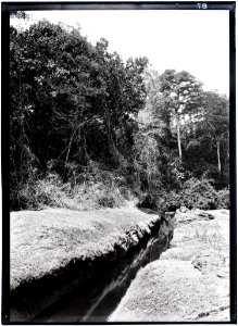 Een landschap met een rotsgeul in het stroomgebied van de Tapanahoni-rivier