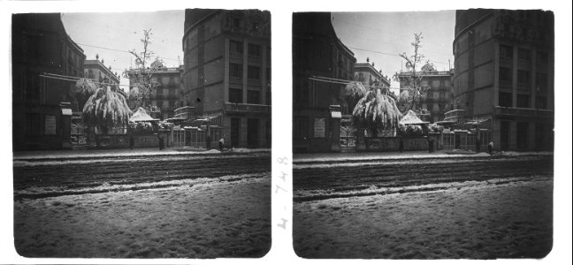 Efectes de la nevada del 27 de febrer de 1927 sobre els arbres d ' un jardí