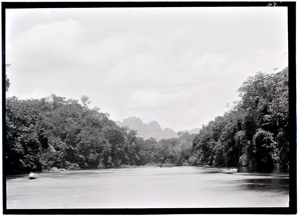 Een rivier in de Surinaamse binnenlanden met bos aan weerszijden