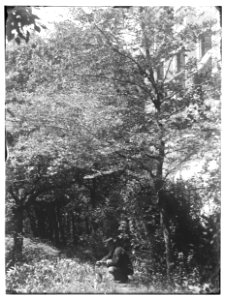 Eerste Helmersstraat 104, foto 1 Jacob Olie (max res)