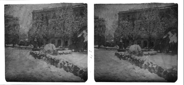 Efectes de la nevada del 27 de febrer de 1927 sobre els jardins Sepúlveda