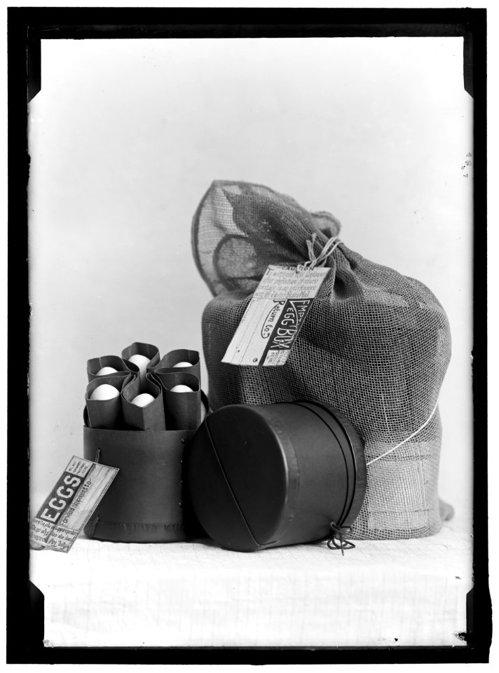 EGG PACKAGING LCCN2016865122