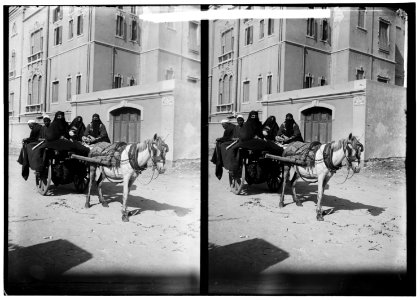 Egyptian characters, etc. Donkey cart with native passengers LOC matpc.01621