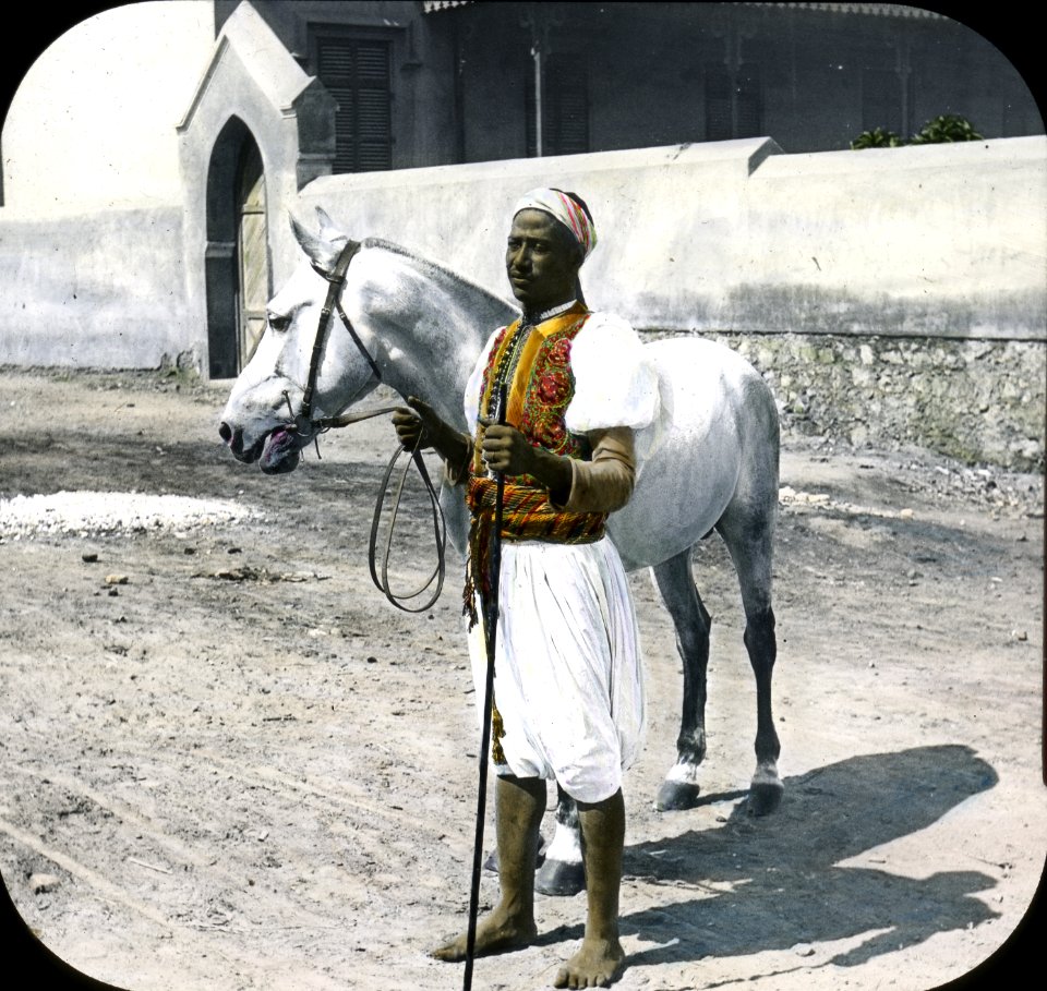 Egypt Arabian Horse and Sais, Cairo