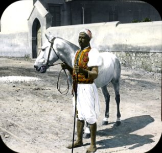 Egypt Arabian Horse and Sais, Cairo