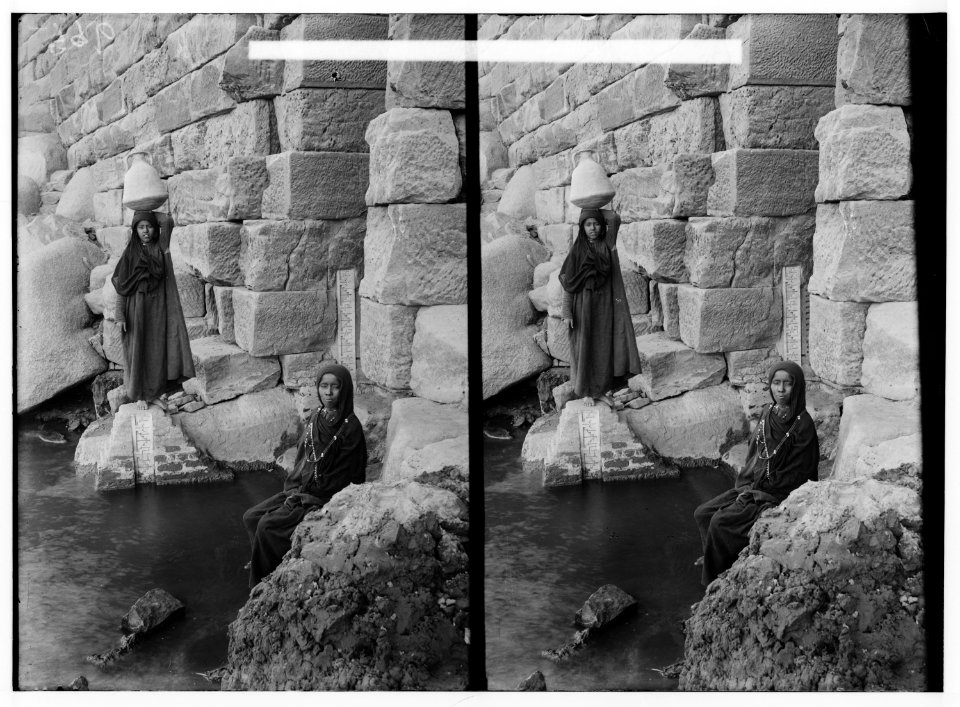 Egyptian characters, etc. The Nilometer on Elephantine Island LOC matpc.01596