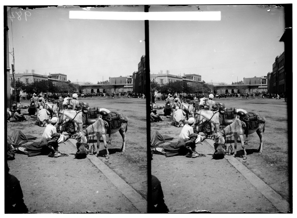 Egyptian characters, etc. Cairo donkey boys with donkeys LOC matpc.01615