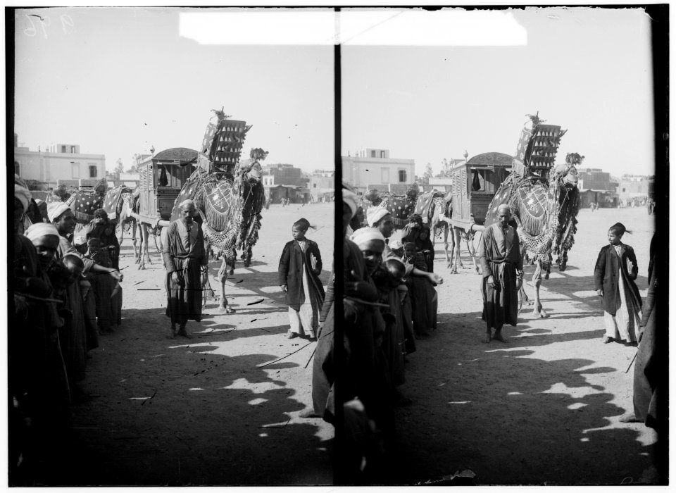Egyptian characters, etc. Camels used for carrying bridal party to wedding LOC matpc.01624