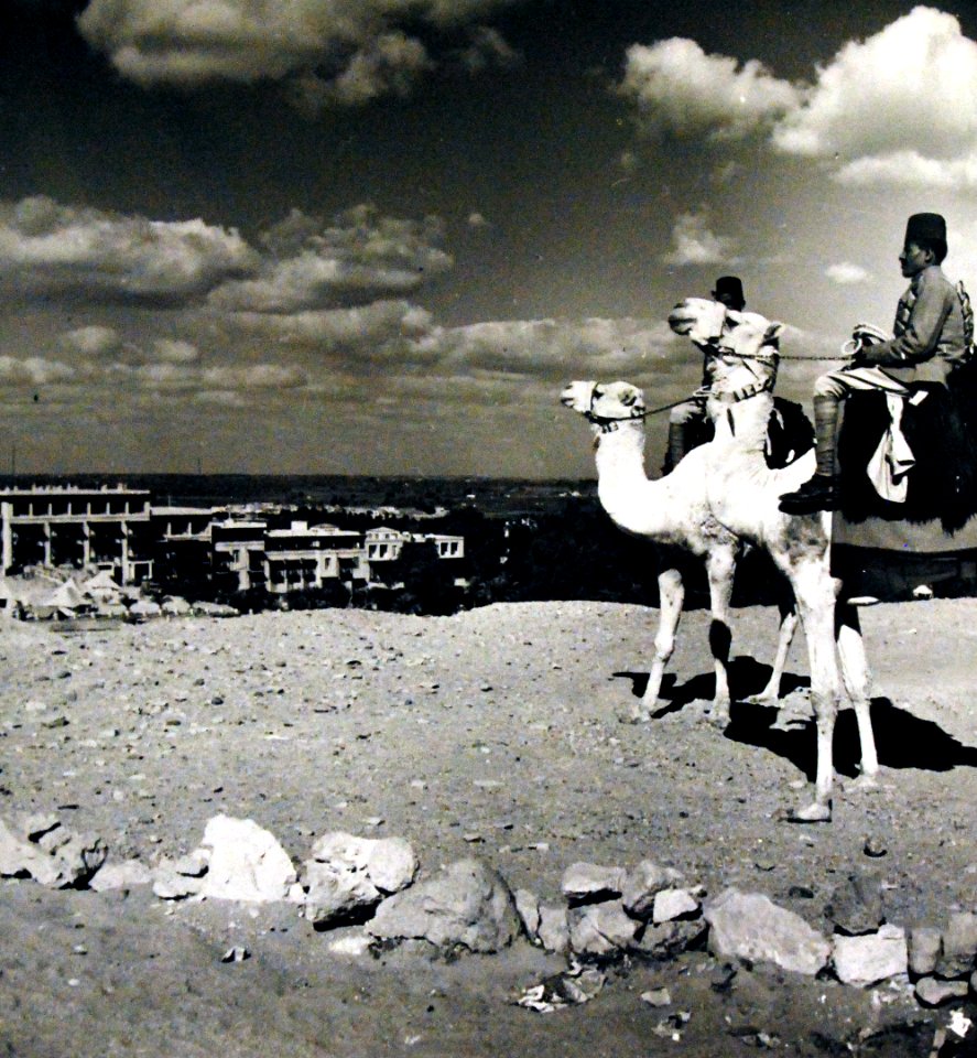 Egyptian desert camel patrol by overlook near Mena House, Cairo, Egypt, 1943 (23773205014)
