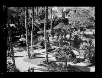 Egyptian Hotels, Ltd, Cairo. Shepheard's Hotel garden LOC matpc.15586