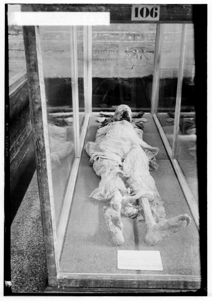 Egyptian views. Cairo (Masr). Pharoah's mummy in Cairo Museum LOC matpc.00097