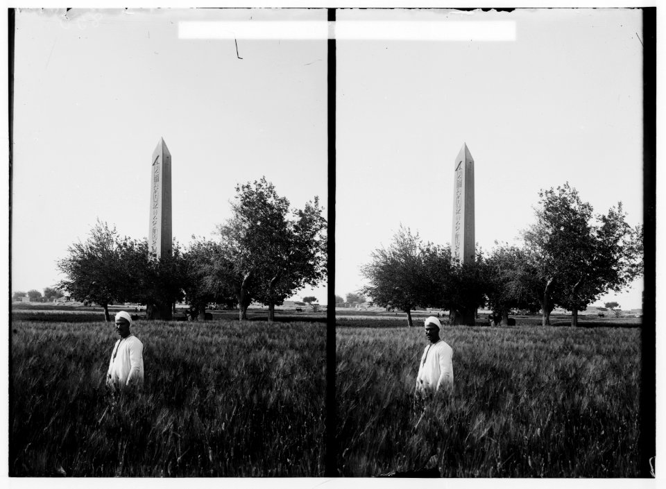 Egyptian views; Heliopolis (Matariyeh). The obelisk at Heliopolis LOC matpc.01486