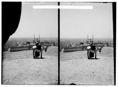 Egyptian views; Cairo (Masr). Cairo from the Mokattam Hills LOC matpc.01459