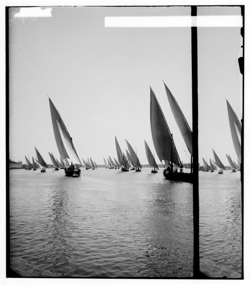 Egyptian views; Cairo (Masr). Fleet of native boats of the Nile LOC matpc.01482