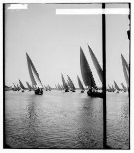 Egyptian views; Cairo (Masr). Fleet of native boats of the Nile LOC matpc.01482