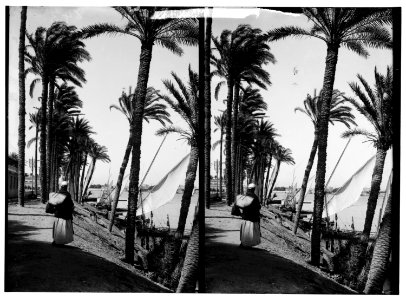 Egyptian views; Cairo (Masr). Looking down the Nile, Cairo LOC matpc.01483