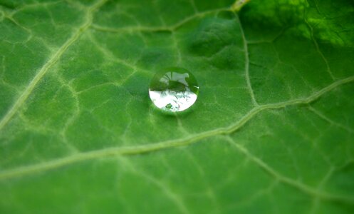 Rain raindrop water droplet