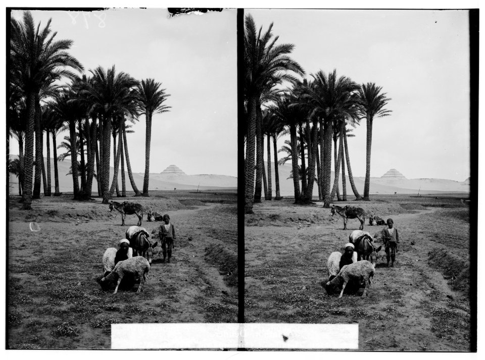 Egyptian views; The pyramids of Gizeh. Memphis and Sakkara. Distant view of step pyramid at Sakkara LOC matpc.01510