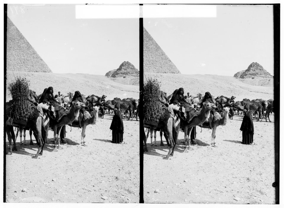 Egyptian views; The pyramids of Gizeh. Caravan of Bedouins arriving at pyramid LOC matpc.01504