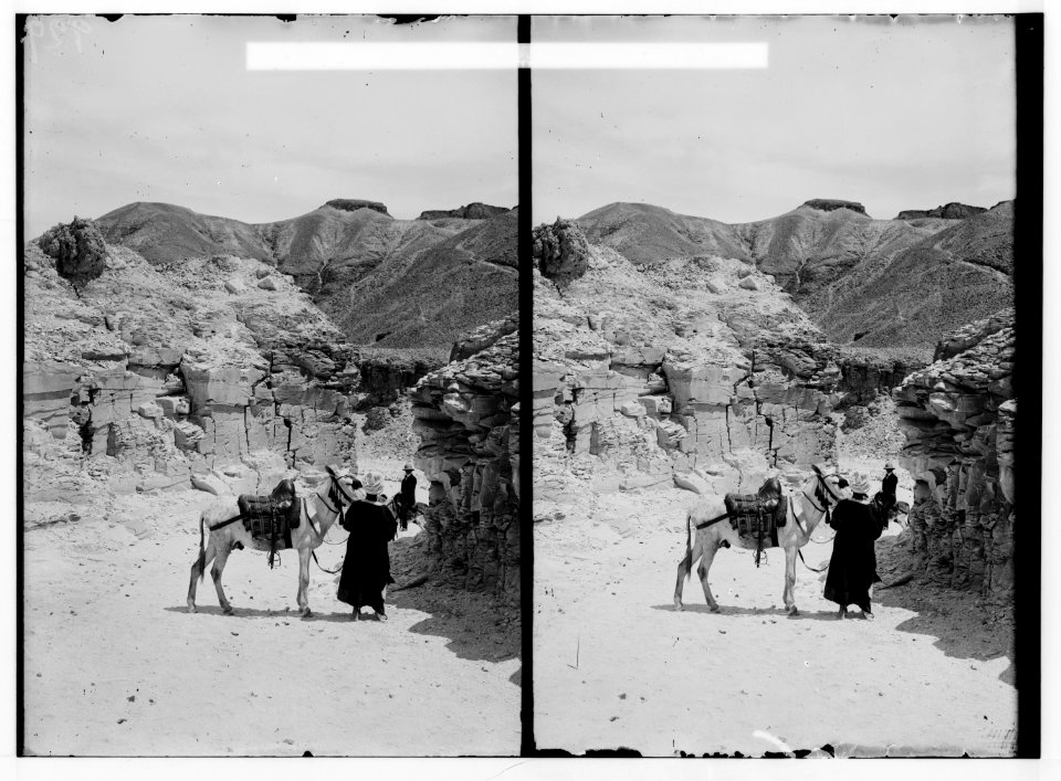 Egyptian views; Thebes. The Lybian desert LOC matpc.01560